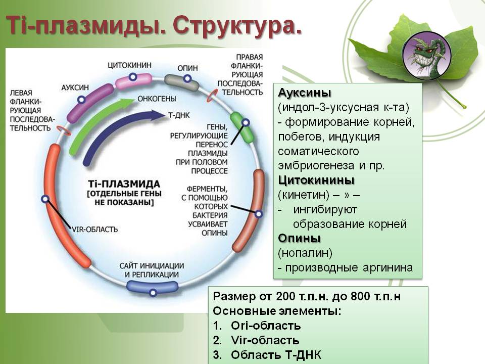 Кракен 15 ссылка