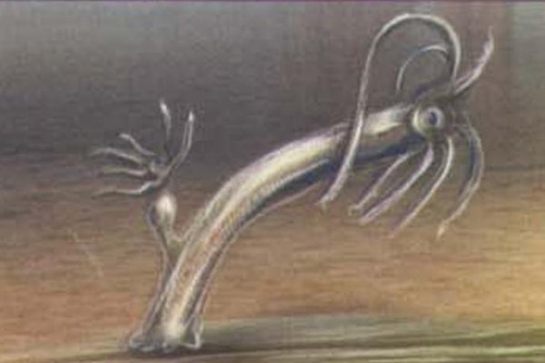 Kraken зеркало 2022 krmp.cc