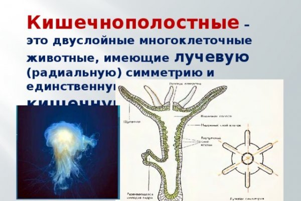 Ссылки на кракен мегу